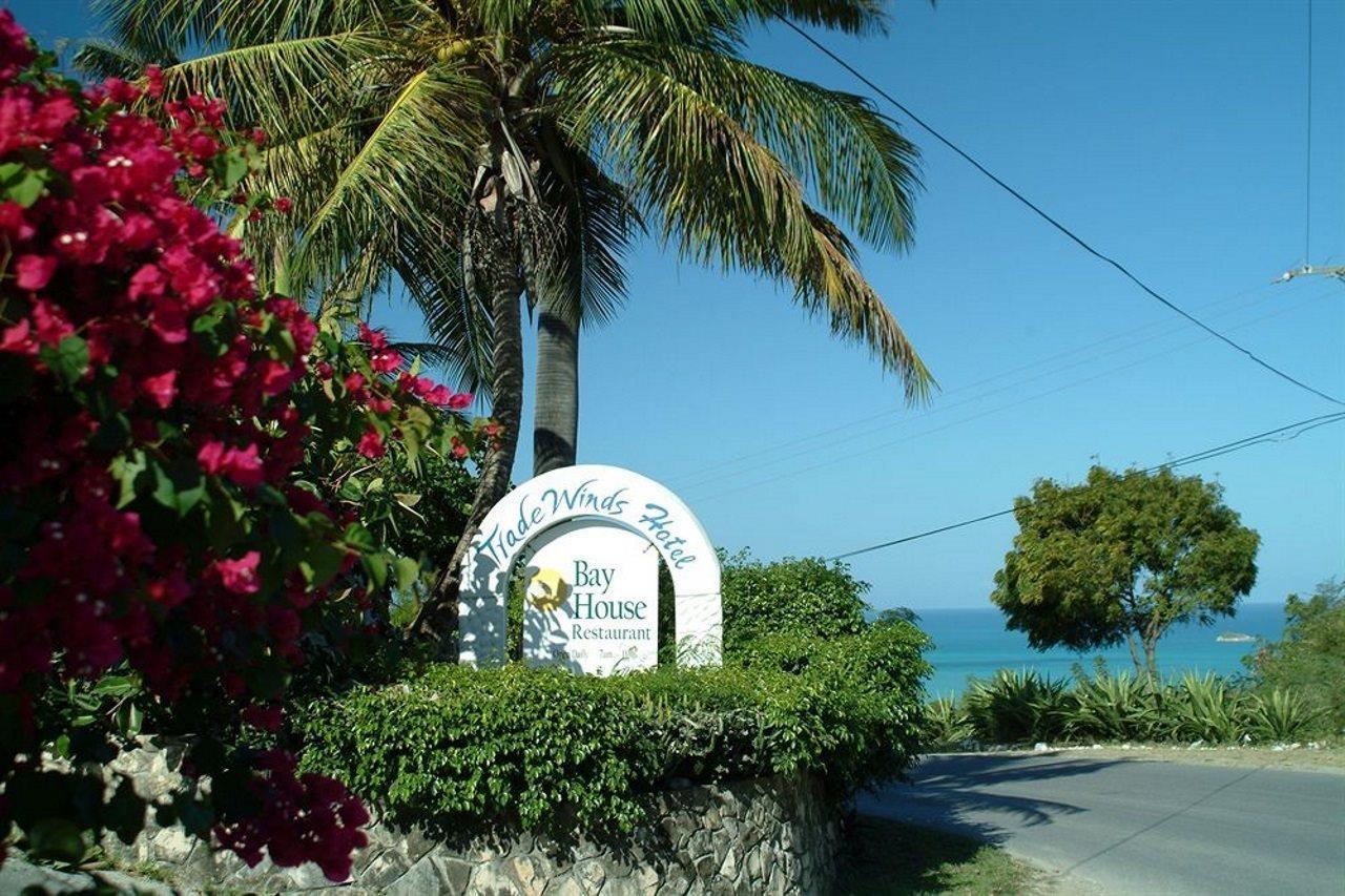 Trade Winds Hotel Dickenson Bay Exterior photo