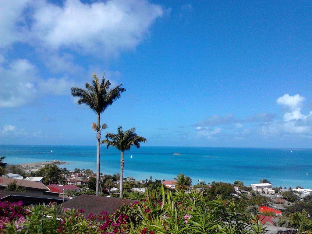 Trade Winds Hotel Dickenson Bay Exterior photo