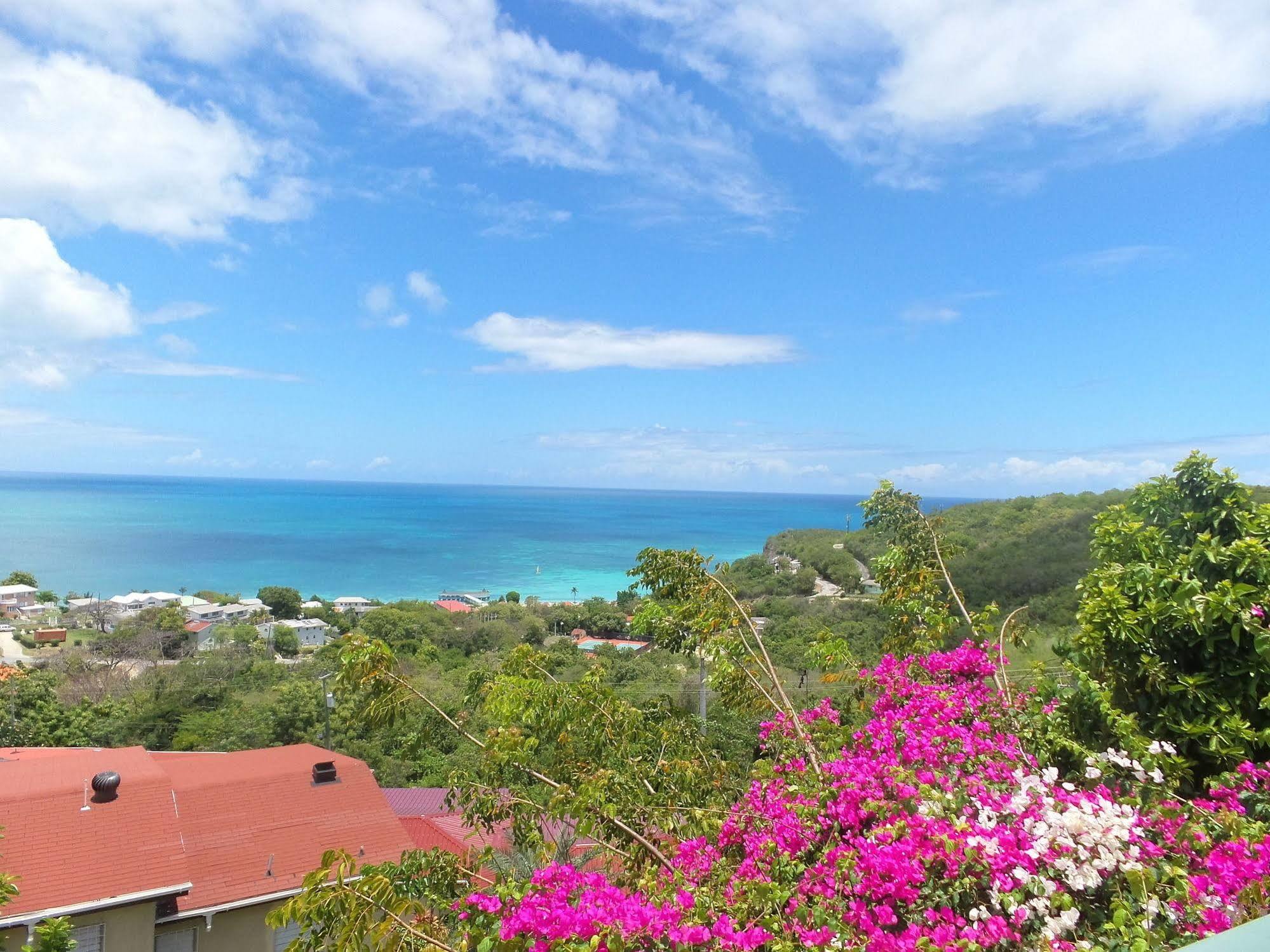 Trade Winds Hotel Dickenson Bay Exterior photo